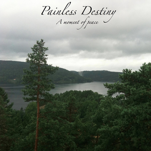 有多少做爱的视频吗
